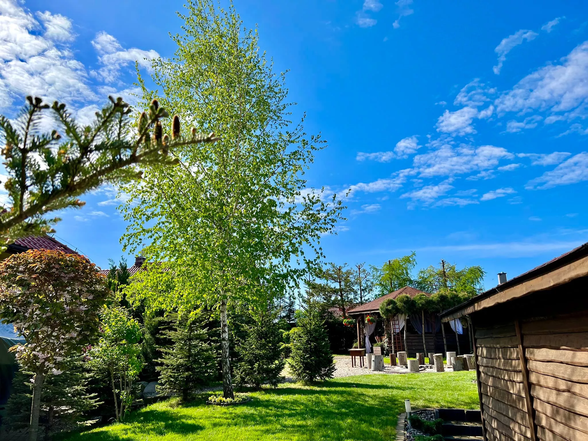 Gwiazda disco polo pochwaliła się wielkim, rajskim ogrodem! Wiemy kto go zaprojektował! Jest wyjątkowy! [ZDJĘCIA]